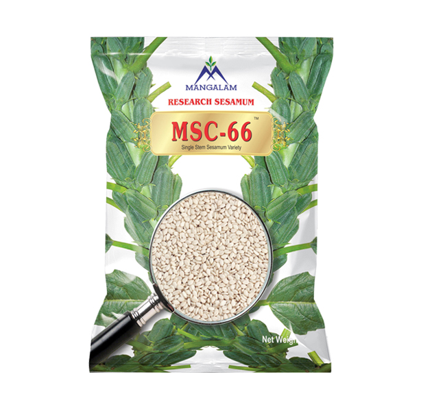 MSC-66 Research Sesamum